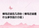 候鸟迁徙在几月份（候鸟迁徙是什么季节简介介绍）