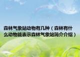森林气象站动物有几种（森林有什么动物能表示森林气象站简介介绍）