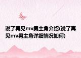 说了再见mv男主角介绍(说了再见mv男主角详细情况如何)