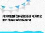 鸿洲集团的各种酒店介绍 鸿洲集团的各种酒店详细情况如何