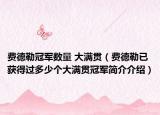 费德勒冠军数量 大满贯（费德勒已获得过多少个大满贯冠军简介介绍）