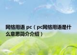 网络用语 pc（pc网络用语是什么意思简介介绍）