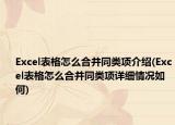 Excel表格怎么合并同类项介绍(Excel表格怎么合并同类项详细情况如何)