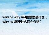 why or why not的意思是什么（why not等于什么简介介绍）