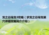 龙之谷绿龙3攻略（求龙之谷绿龙巢穴详细攻略简介介绍）
