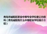青岛市城阳区职业中等专业学校是公办的吗（青岛城阳有什么中等职业学校简介介绍）