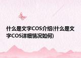 什么是文字COS介绍(什么是文字COS详细情况如何)