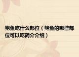 鲍鱼吃什么部位（鲍鱼的哪些部位可以吃简介介绍）