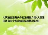 大庆油田还有多少石油储量介绍(大庆油田还有多少石油储量详细情况如何)