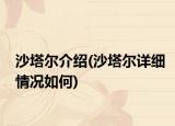沙塔尔介绍(沙塔尔详细情况如何)