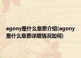 agony是什么意思介绍(agony是什么意思详细情况如何)