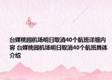 台媒桃园机场明日取消40个航班详细内容 台媒桃园机场明日取消40个航班具体介绍