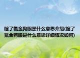 瞎了氪金狗眼是什么意思介绍(瞎了氪金狗眼是什么意思详细情况如何)
