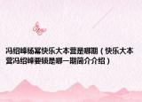冯绍峰杨幂快乐大本营是哪期（快乐大本营冯绍峰要锁是哪一期简介介绍）