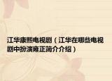 江华康熙电视剧（江华在哪些电视剧中扮演雍正简介介绍）