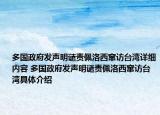 多国政府发声明谴责佩洛西窜访台湾详细内容 多国政府发声明谴责佩洛西窜访台湾具体介绍
