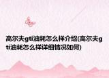 高尔夫gti油耗怎么样介绍(高尔夫gti油耗怎么样详细情况如何)
