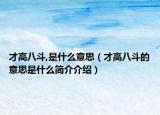 才高八斗,是什么意思（才高八斗的意思是什么简介介绍）