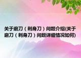 关于磨刀（刺身刀）问题介绍(关于磨刀（刺身刀）问题详细情况如何)