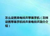 怎么设置来电铃声苹果手机（怎样设置苹果手机铃声来电铃声简介介绍）