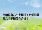 台前县有几个乡镇村（台前县共有几个乡镇简介介绍）