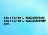 马上过年了混得差怎么才能伪装混得很好介绍(马上过年了混得差怎么才能伪装混得很好详细情况如何)