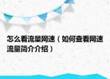 怎么看流量网速（如何查看网速流量简介介绍）