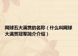 网球五大满贯的名称（什么叫网球大满贯冠军简介介绍）