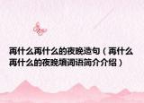 再什么再什么的夜晚造句（再什么再什么的夜晚填词语简介介绍）
