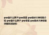 gap是什么牌子(gap童装 gap旗求大神帮助介绍 gap是什么牌子 gap童装 gap旗求大神帮助详细情况如何)