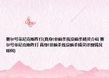 赛尔号菲尼克斯咋打(真身!非瞬杀我没瞬杀精灵介绍 赛尔号菲尼克斯咋打 真身!非瞬杀我没瞬杀精灵详细情况如何)
