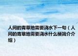 人间的青草地需要浇水下一句（人间的青草地需要浇水什么梗简介介绍）
