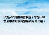 华为p30升级鸿蒙系统（华为p30怎么申请升级鸿蒙系统简介介绍）