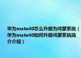 华为mate40怎么升级为鸿蒙系统（华为mate40如何升级鸿蒙系统简介介绍）