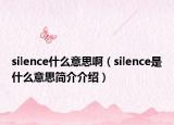 silence什么意思啊（silence是什么意思简介介绍）