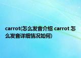 carrot(怎么发音介绍 carrot 怎么发音详细情况如何)