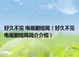 好久不见 电视剧结局（好久不见电视剧结局简介介绍）