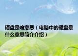 硬盘是啥意思（电脑中的硬盘是什么意思简介介绍）