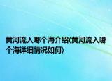 黄河流入哪个海介绍(黄河流入哪个海详细情况如何)