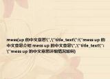mess(up 的中文意思