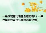 一朵玫瑰花代表什么意思啊?（一朵玫瑰花代表什么意思简介介绍）
