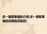 求一首歌草蜢的介绍(求一首歌草蜢的详细情况如何)