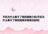 手机为什么看不了微信视频介绍(手机为什么看不了微信视频详细情况如何)