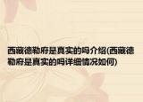 西藏德勒府是真实的吗介绍(西藏德勒府是真实的吗详细情况如何)