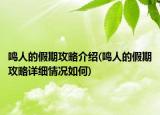 鸣人的假期攻略介绍(鸣人的假期攻略详细情况如何)