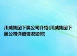川威集团下属公司介绍(川威集团下属公司详细情况如何)
