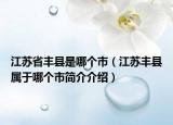 江苏省丰县是哪个市（江苏丰县属于哪个市简介介绍）