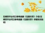 在哪些平台可以看电视剧《完美关系》介绍(在哪些平台可以看电视剧《完美关系》详细情况如何)
