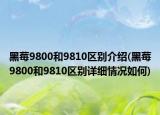 黑莓9800和9810区别介绍(黑莓9800和9810区别详细情况如何)