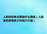 人的染色体主要由什么组成（人的染色体有多少对简介介绍）